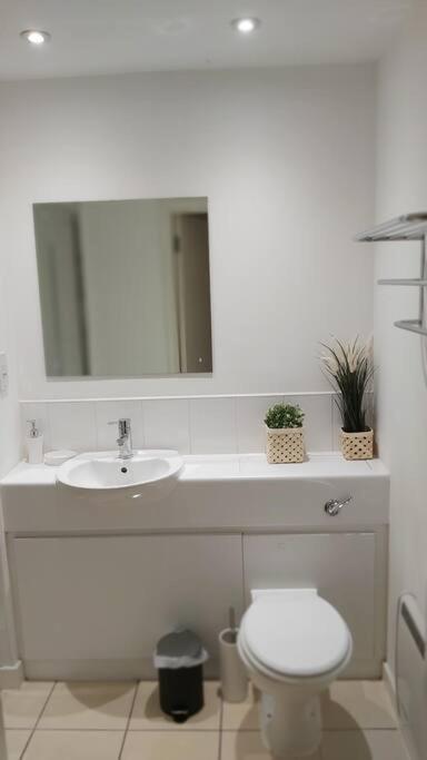 Piquancy Apartments - Sheffield City Centre Экстерьер фото